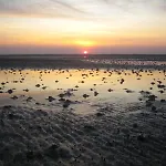 Prázdninový dům Nordsee_2-max-3-pers Vollerwiek